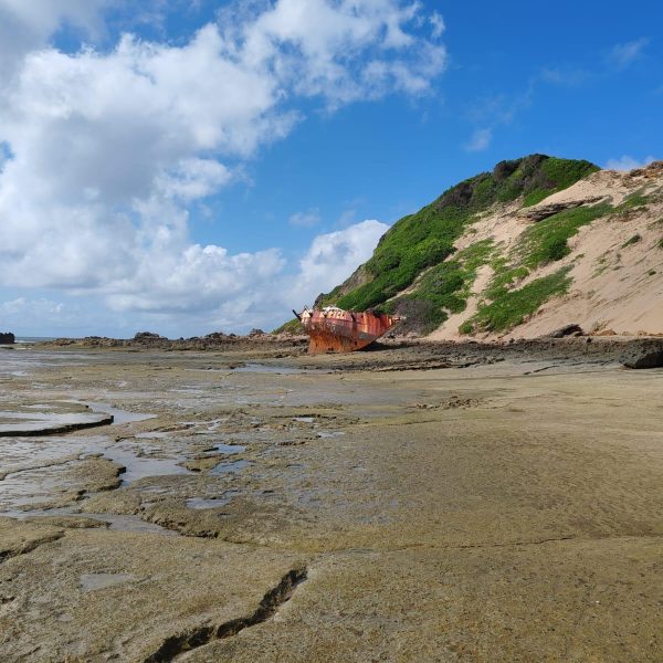 WhatsApp Image 2025-12-22 at 3.26.17 PM