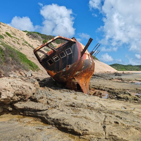 WhatsApp Image 2025-12-22 at 3.26.23 PM